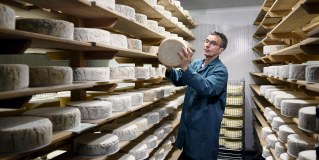 Sussex High Weald Dairy Sheep Products