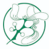 The Folk Lore Society logo