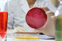 Southern Microbiological Services Limited