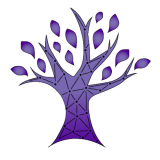 Northwest Community Network