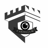 Castellum Limited logo
