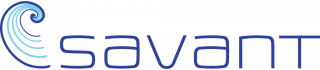Savant Enterprises Limited