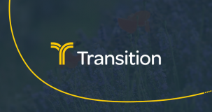 Transition Associates Limited