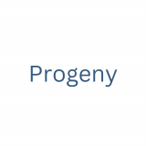 Progeny Systems & Consultants