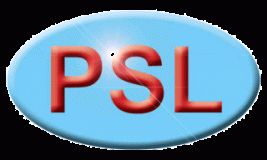 Program Systems Limited