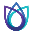 The Energy Exchange