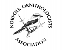 Norfolk Ornithologists Association