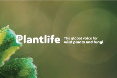 Plantlife International