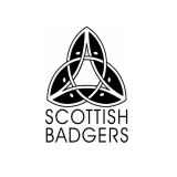 Scottish Badgers
