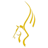 Pegasus Logistics Solutions Limited logo
