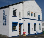 The Mushroom Works