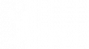 Scottish Youth Dance
