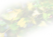 Thorn Tree Design