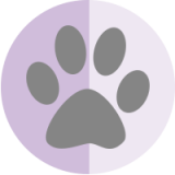 Pampered Paws