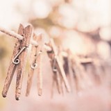 Premier Dry Cleaners