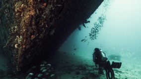Padi International Limited