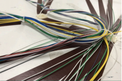 Pallas Connections Limited