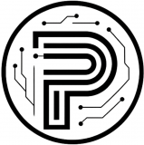 Project It Resource Limited logo