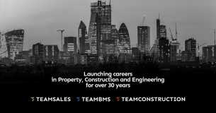Teamsales logo