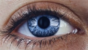 Sola Optical UK Limited