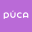 Puca Technologies Limited