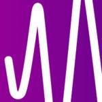 Noise Abatement Society