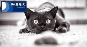 Parris Residential