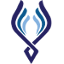 Phoenix Property Services logo