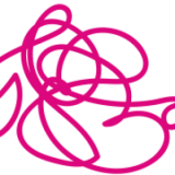 Basis Limited logo
