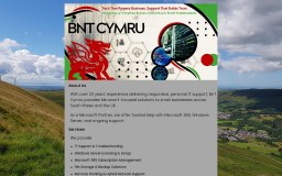 Bnt Cymru Limited logo
