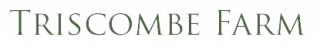 R Brinkley logo