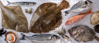 New Wave Seafood