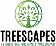 Preserved Treescapes International