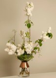 Shimizu Flowers