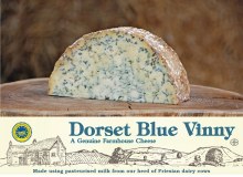 The Dorset Blue Soup Co. logo