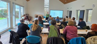 Anturteifi