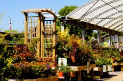 Plymouth Garden Centre Limited