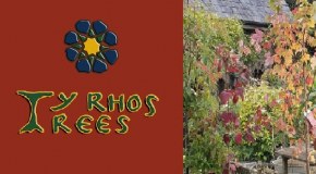 Ty Rhos Trees