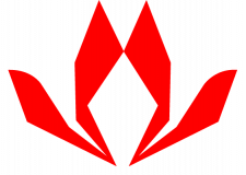 Pyro Glass Limited