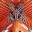 Phoenix Glass Services Limited