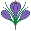 Saffron Walden logo