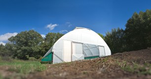 Northern Polytunnels (Npt Structures) Limited