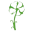 Northleigh House logo