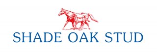 P Hockenhull logo