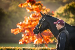 Tweenhills Farm & Stud