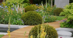 Plants For Europe Limited