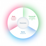 Panorama Software Corporation Limited