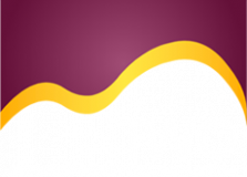 The Westwood Organisation Limited logo