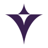 The North Of England P & I logo