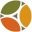 Tricon Management And Holdings Limited